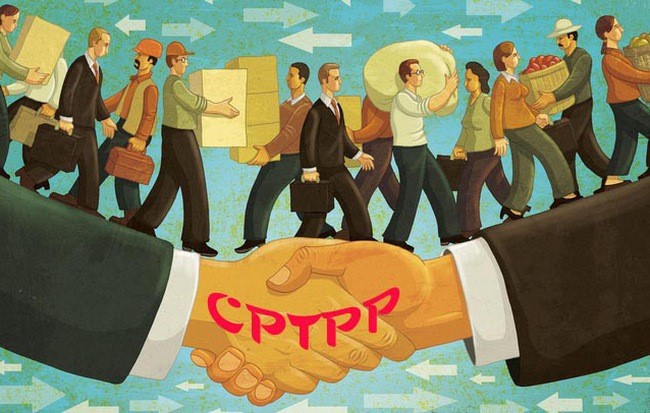 CPTPP biến Việt Nam thành thị trường chung, tạo ra sức ép cạnh tranh cho doanh nghiệp