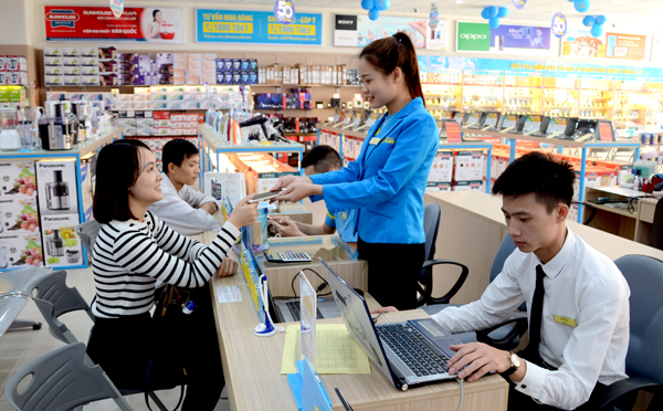 Không đào tạo nhân viên bài bản